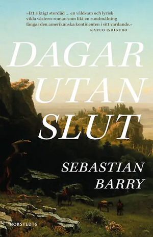 Dagar utan slut by Sebastian Barry