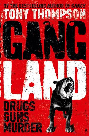 Gangland: From Footsoldiers to Kingpins, the Search for MR Big by Tony Thompson