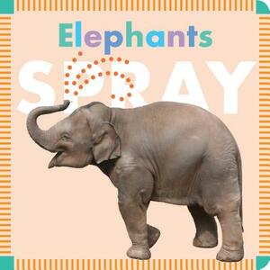 Elephants Spray by Rebecca Glaser