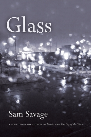 Glass by Sam Savage