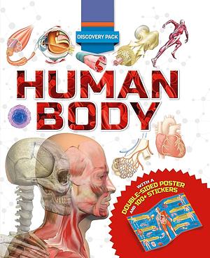 Discovery Pack: Human Body by Clare Hibbert