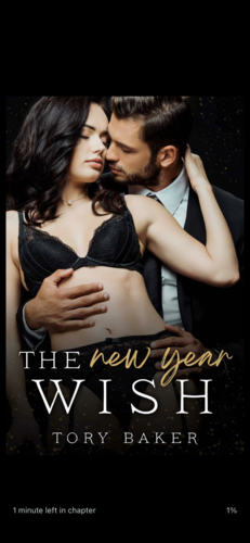 The New Year Wish by Tory Baker