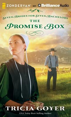 The Promise Box by Tricia Goyer