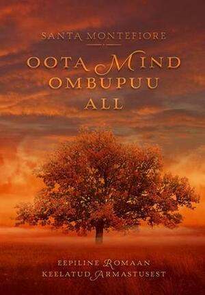 Oota mind ombupuu all by Santa Montefiore