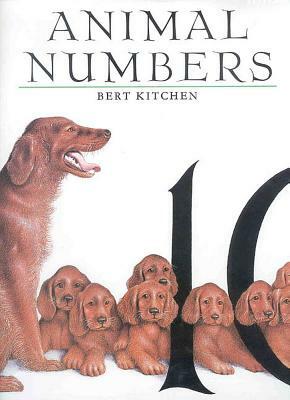Animal Numbers by Bert Kitchen