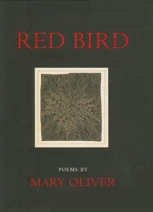 Red Bird by Mary Oliver