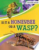 Is It a Honeybee Or a Wasp? by Susan B. Katz