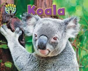 Koala by Dee Phillips