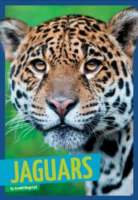 Jaguars by Arnold Ringstad