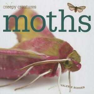 Moths by Valerie Bodden