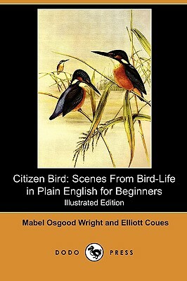 Citizen Bird: Scenes from Bird-Life in Plain English for Beginners (Illustrated Edition) (Dodo Press) by Mabel Osgood Wright, Elliott Coues