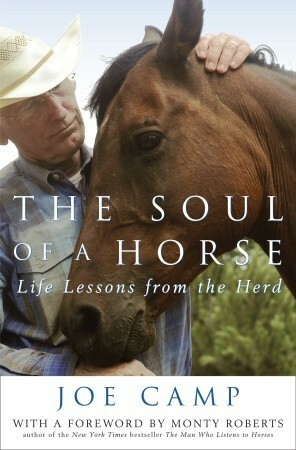 The Soul of a Horse: Life Lessons from the Herd by Joe Camp