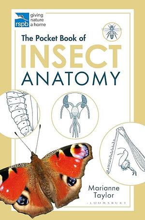 The Pocket Book of Insect Anatomy by Marianne Taylor