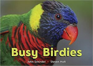 Busy Birdies by Steven Holt, John Schindel