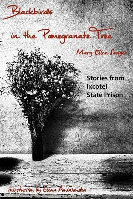 Blackbirds in the Pomegranate Tree: Stories from Ixcotel State Prison by Mary Ellen Sanger