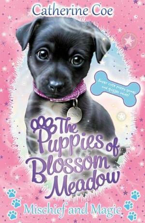 Mischief and Magic (Puppies of Blossom Meadow #2) by Catherine Coe