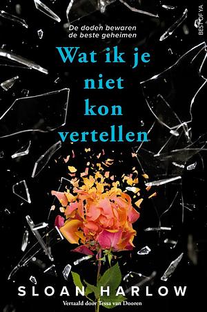 Recensie: Wat ik je niet kon vertellen van Sloan harlow