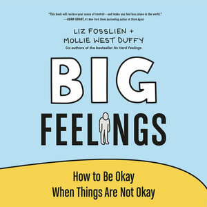 Big Feelings: How to Be Okay When Things Are Not Okay by Liz Fosslien, Mollie West Duffy