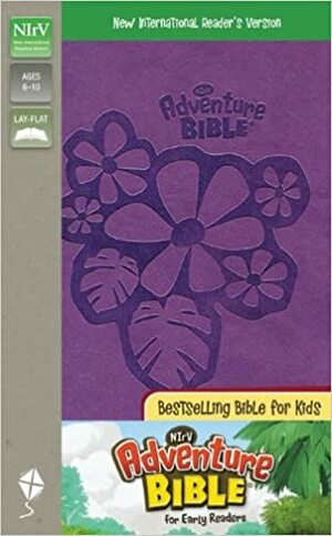 NIrV, Adventure Bible for Early Readers, Imitation Leather, Purple by Anonymous