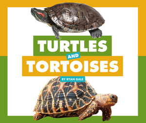 Turtles and Tortoises by Ryan Gale