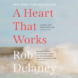 A Heart That Works by Rob Delaney