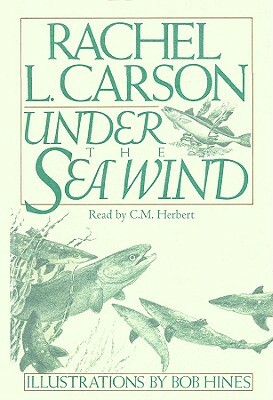 Under the Sea Wind by Rachel Carson