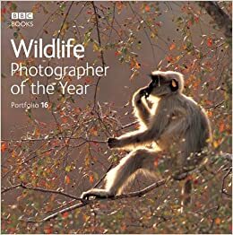 Wildlife Photographer of the Year Portfolio 16 by BBC Worldwide