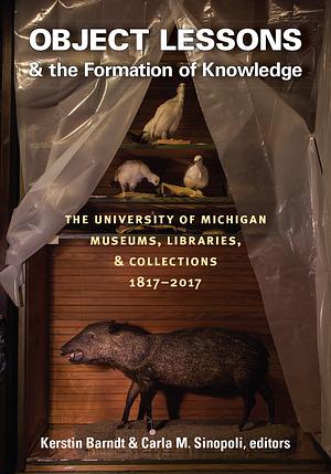 Object Lessons and the Formation of Knowledge: The University of Michigan Museums, Libraries, and Collections 1817-2017 by Kerstin Barndt, Carla M. Sinopoli