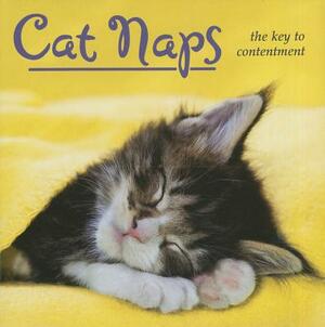Cat Naps: The Key to Contentment by 
