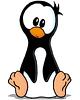 jlcolumbe's profile picture