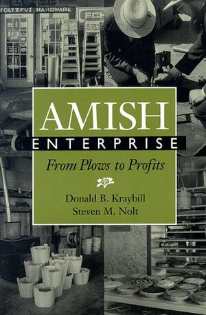 Amish Enterprise: From Plows To Profits by Steven M. Nolt, Donald B. Kraybill