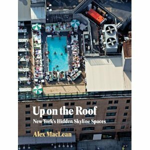 Up on the Roof: New York's Hidden Skyline Spaces by Alex S. MacLean