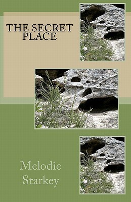 The Secret Place by Melodie Starkey