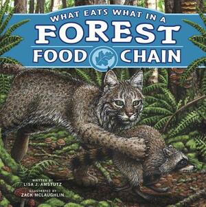 What Eats What in a Forest Food Chain by Lisa J. Amstutz