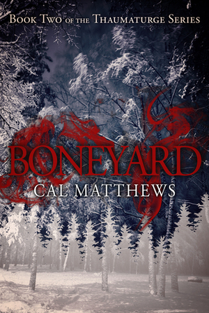 Boneyard by Cal Matthews