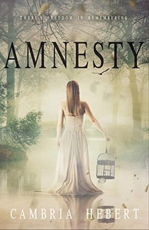 Amnesty by Cambria Hebert