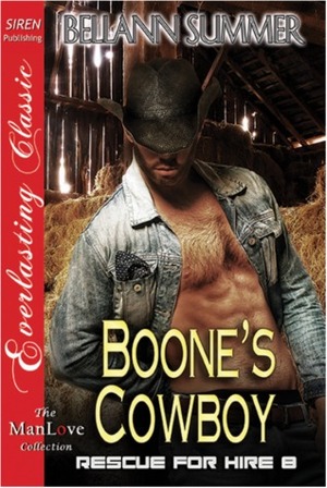 Boone's Cowboy by Bellann Summer