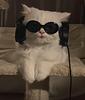 balake_17's profile picture