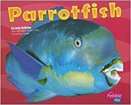 Parrotfish (Under the Sea) by Jody Sullivan Rake