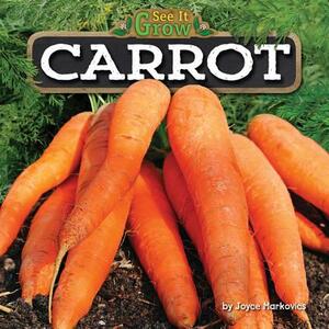 Carrot by Joyce Markovics