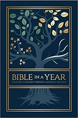 Bible in a Year – ESV Catholic Edition – Tree of Life by Tim Gray, Augustine Institute