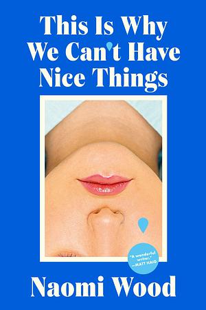 This Is Why We Can't Have Nice Things by Naomi Wood