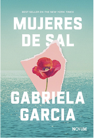 Mujeres de sal by Gabriela Garcia