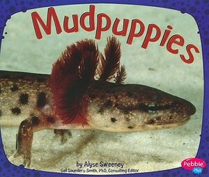 Mudpuppies by Alyse Sweeney, Gail Saunders-Smith