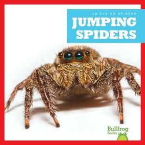 Jumping Spiders by Jenna Lee Gleisner