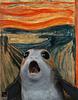 alberthe's profile picture