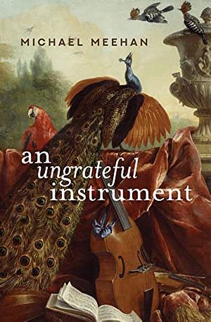 An Ungrateful Instrument by MIchael Meehan