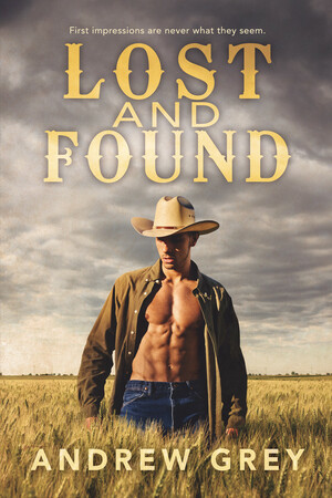 Lost and Found by Andrew Grey