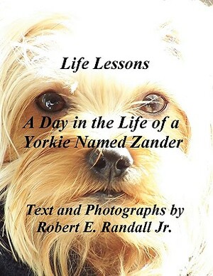 A Day in the Life of a Yorkie Named Zander by Robert Randall