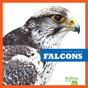 Falcons by Jenna Lee Gleisner